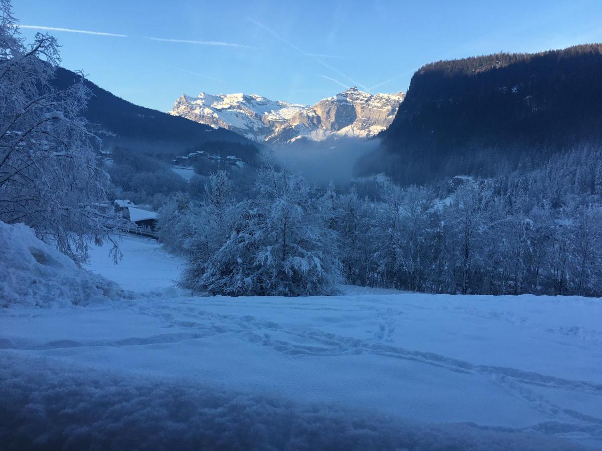Vallee De Chamonix Au Pied Des Pistes Les Houches Zewnętrze zdjęcie